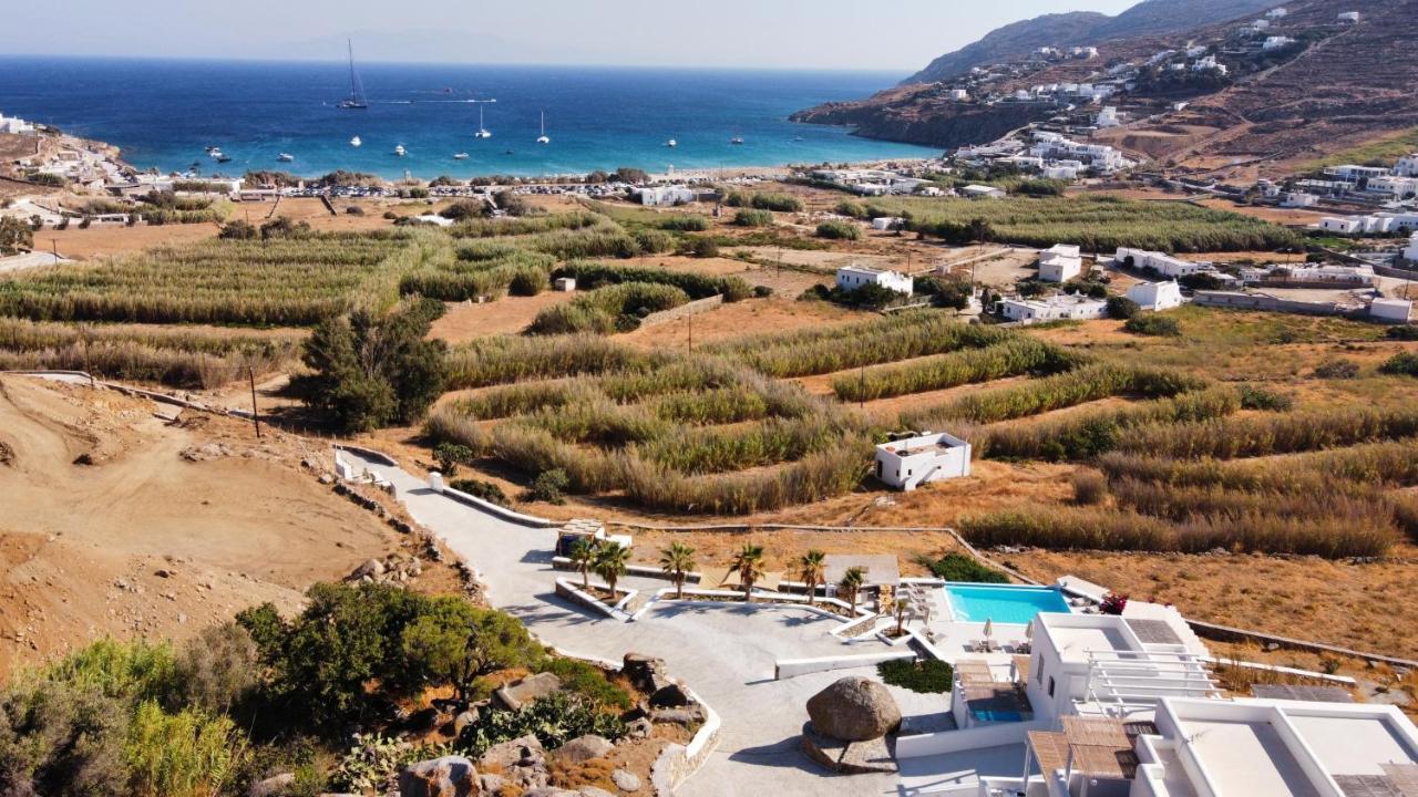Mykonos4Islands Seaside Homes And Suites Kalo Livadi Eksteriør billede